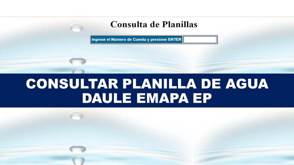 Consultar planillas de luz y agua en Ecuador (2024)