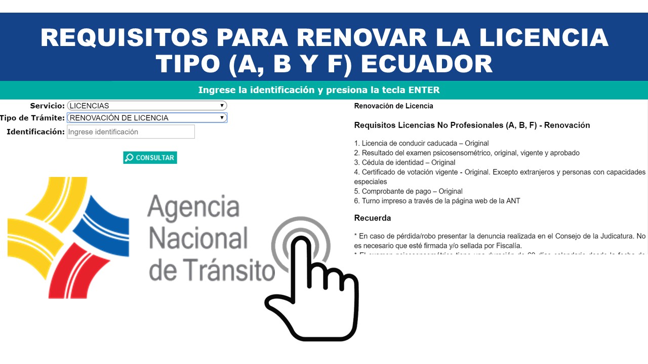 Requisitos para renovar la licencia no profesional a b y f