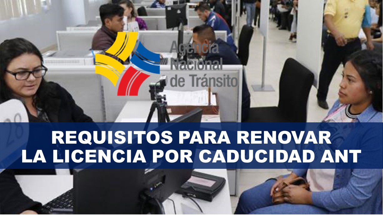 Requisitos para renovar la licencia por caducidad ANT