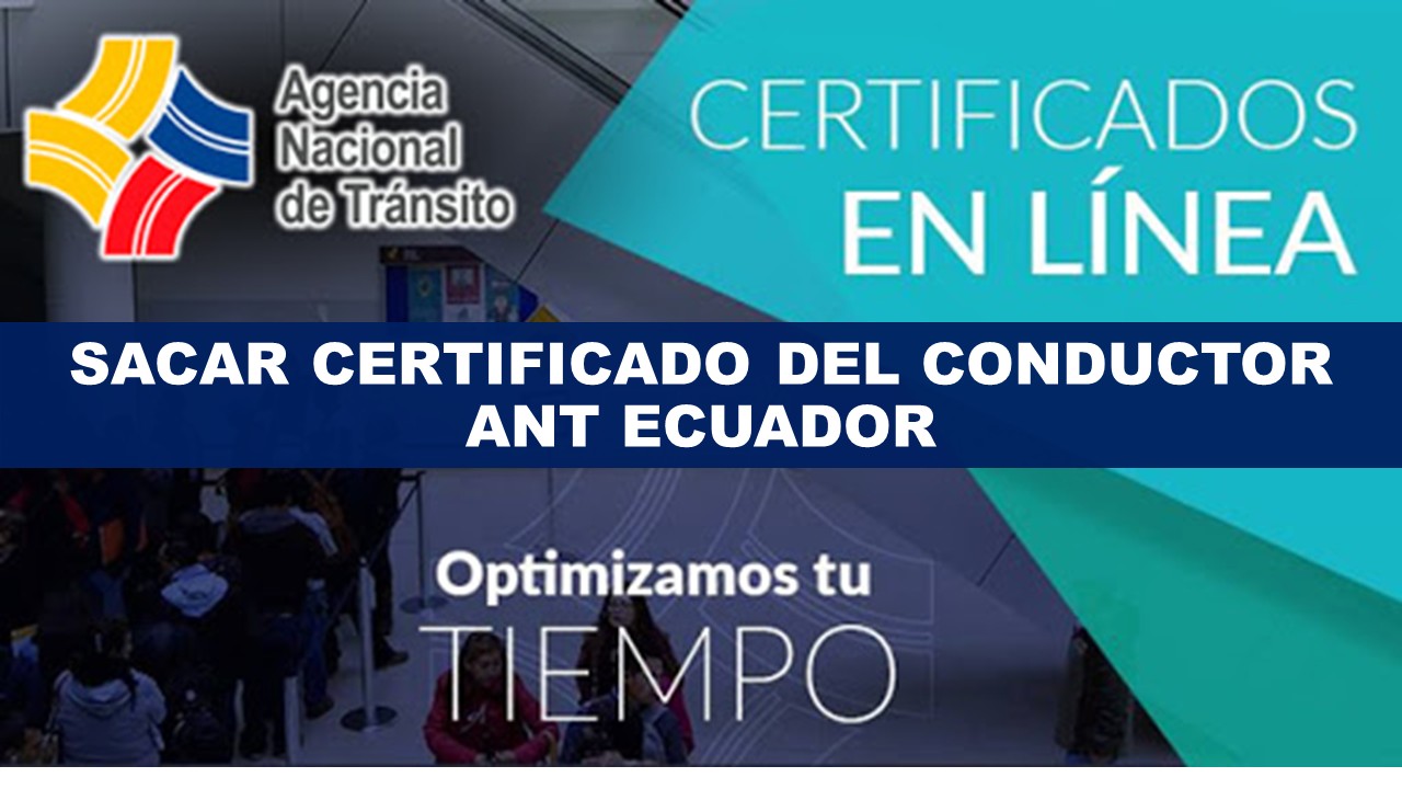 Sacar certificado del conductor ANT Ecuador