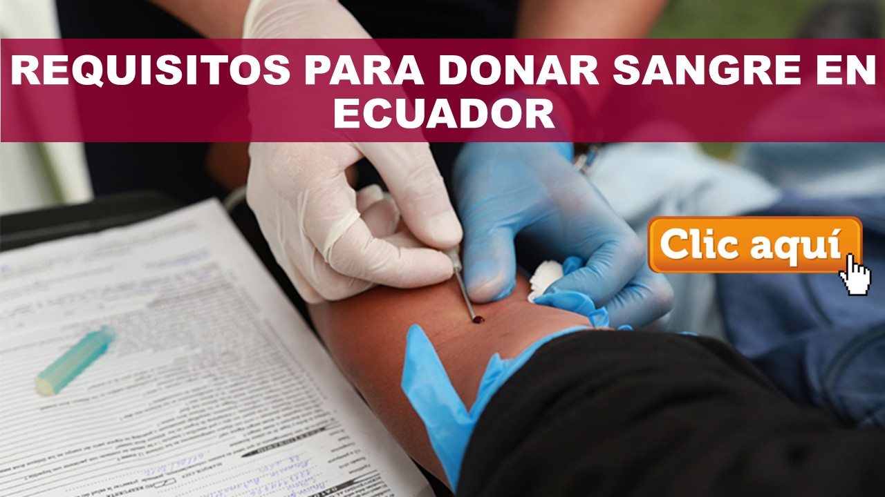 Requisitos para donar sangre en Ecuador