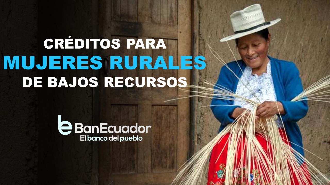 créditos para el campo que instituciones que atienden la demanda de servicios financieros principalmente en zonas rurales crédito rural préstamos agropecuarios tipos de créditos rurales créditos agrícolas financiamiento y su importancia para el desarrollo rural créditos para el campo