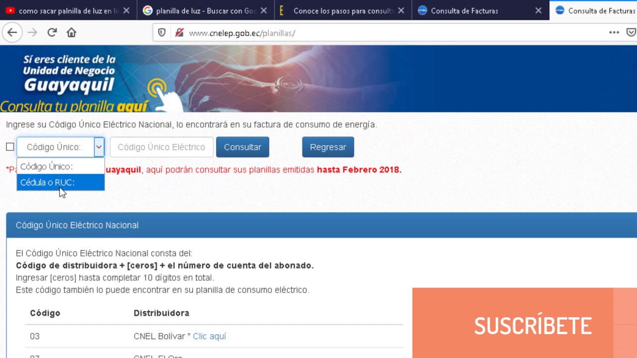 ¿Cómo imprimir la planilla de la luz? (2024) consultasEC Noticias